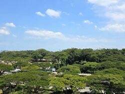 Seaside Residences (D15), Apartment #537349921